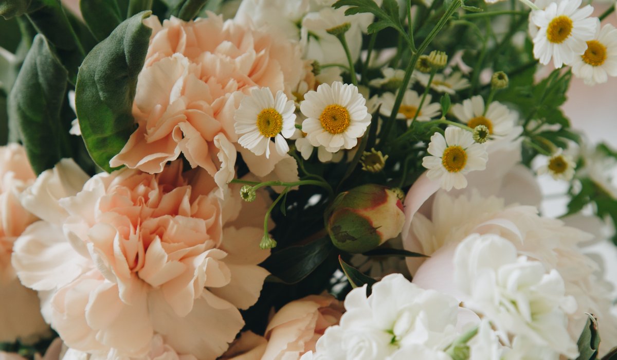 Hur man tar hand om blommor för att de ska hålla länge?